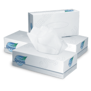 Rayyan Facial Tissue 150 x 2 ply (box/30pc)