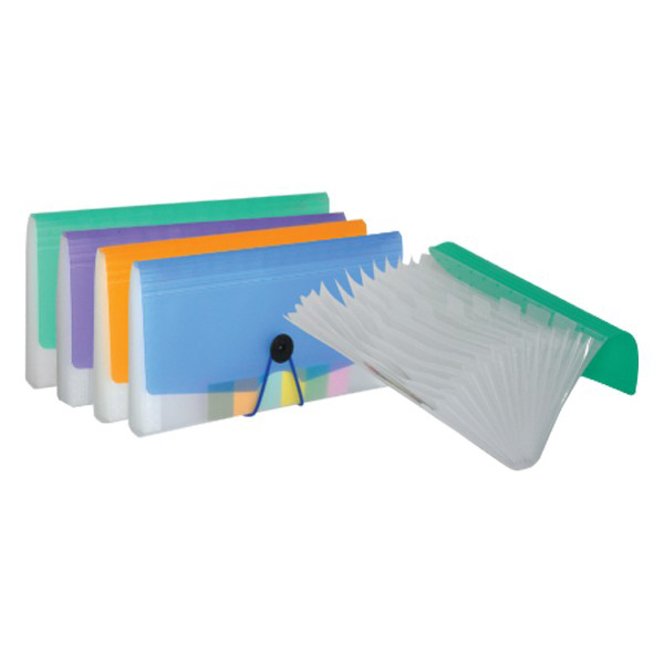 FIS Plastic Cheque Folder 13 pockets Blue - FSPG1303 (pc)