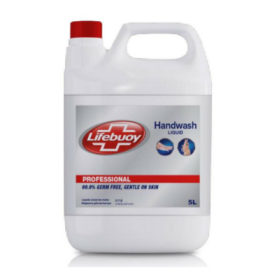 5 litre hand on sale wash