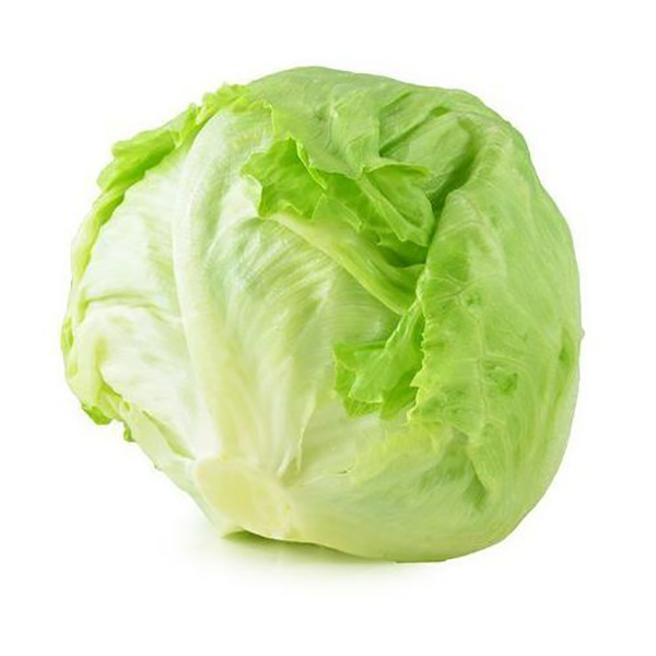 Buy Lettuce Iceberg, MEast Per Kg Online AED8 from Bayzon