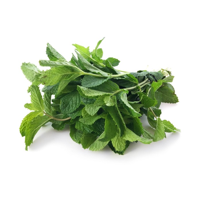 Buy Fresh Mint UAE Per Bunch Online AED1 From Bayzon