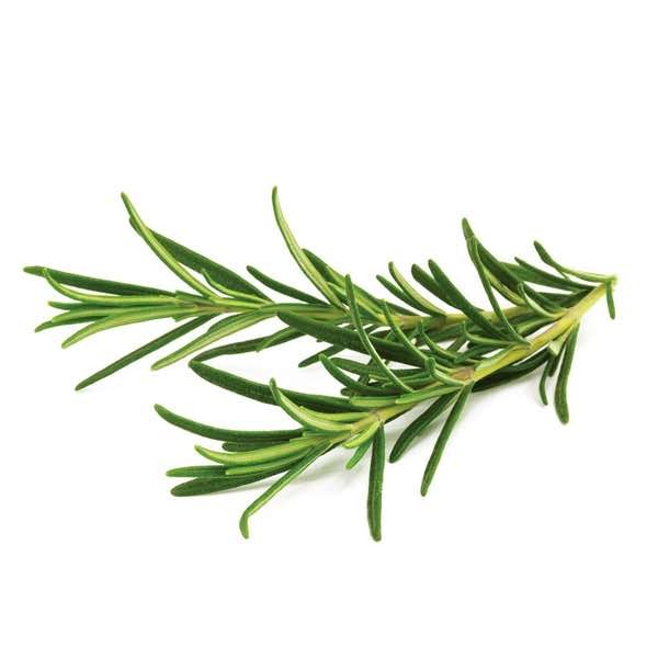Buy Rosemary, Kenya 20gm Online AED 5.70 from Bayzon