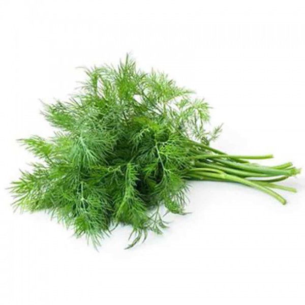 Buy Fresh Dill, UAE Per Bunch Online AED1 from Bayzon