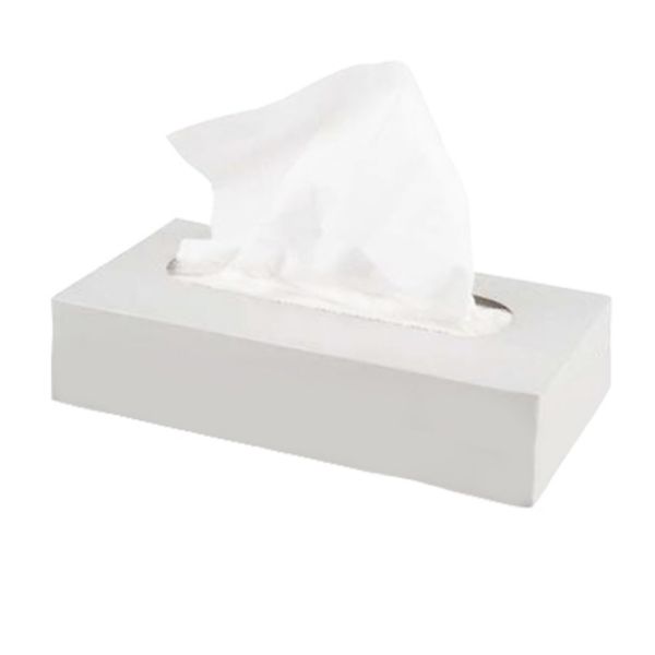 Facial Tissue Solutions Corporate 150 x 2 ply (box/30pcs)