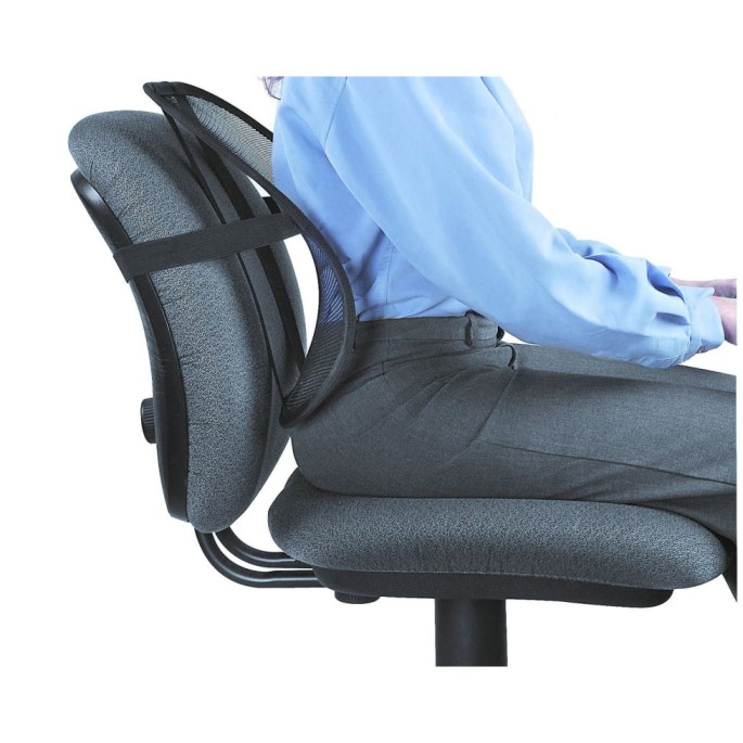 Buy Fellowes Office Suites Mesh Back Support Online ...